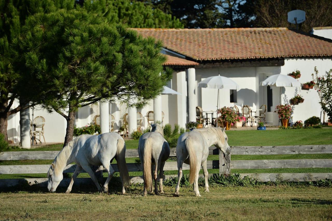 Mas De La Grenouillere Hotel Et Centre Equestre En Pleine Nature Σαιντ-Μαρί-ντε-λα-Μερ Εξωτερικό φωτογραφία